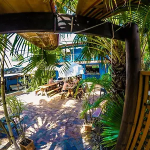Cool Bananas Backpackers Auberge de jeunesse